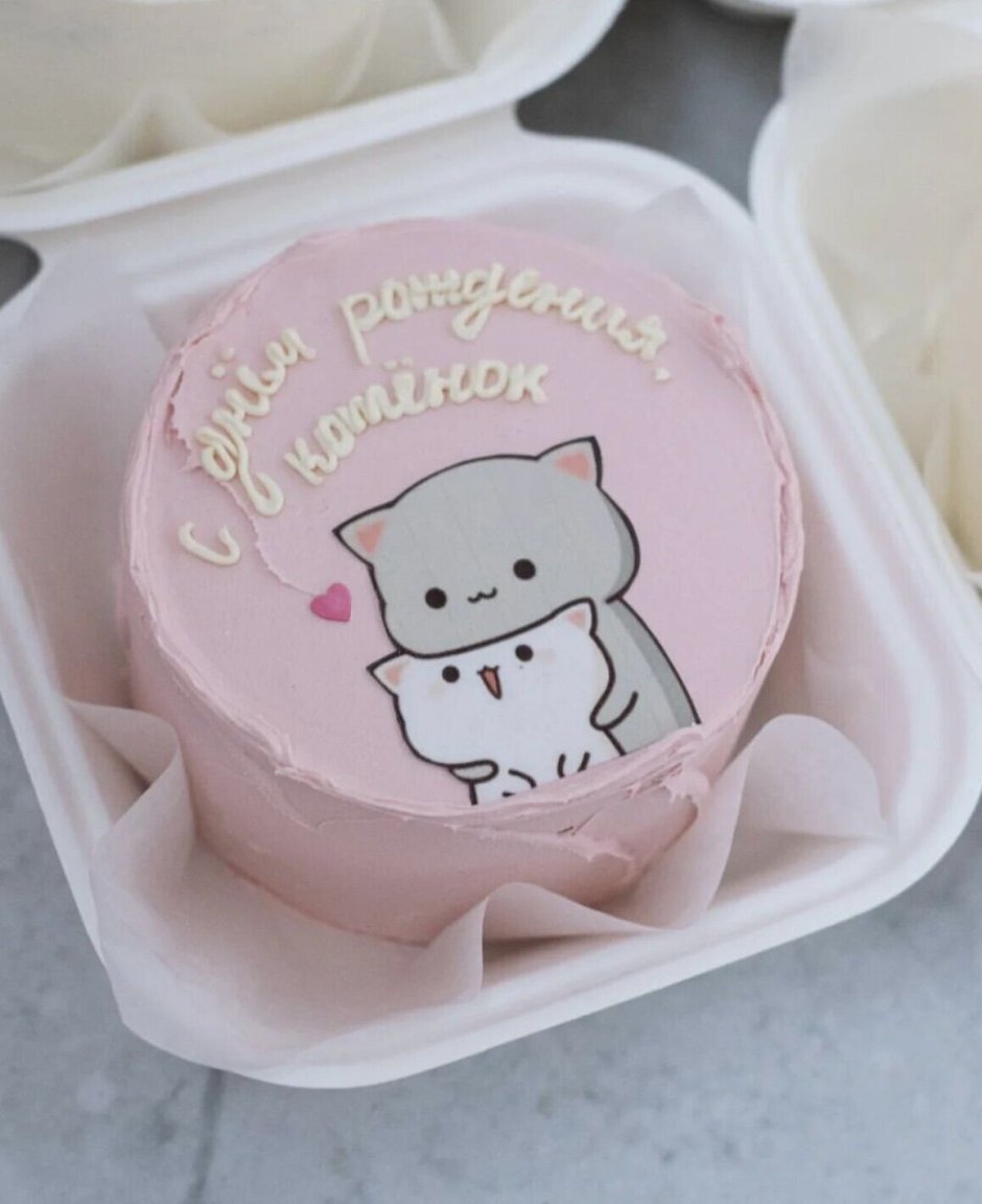 Бенто торт с котиком на день рождения