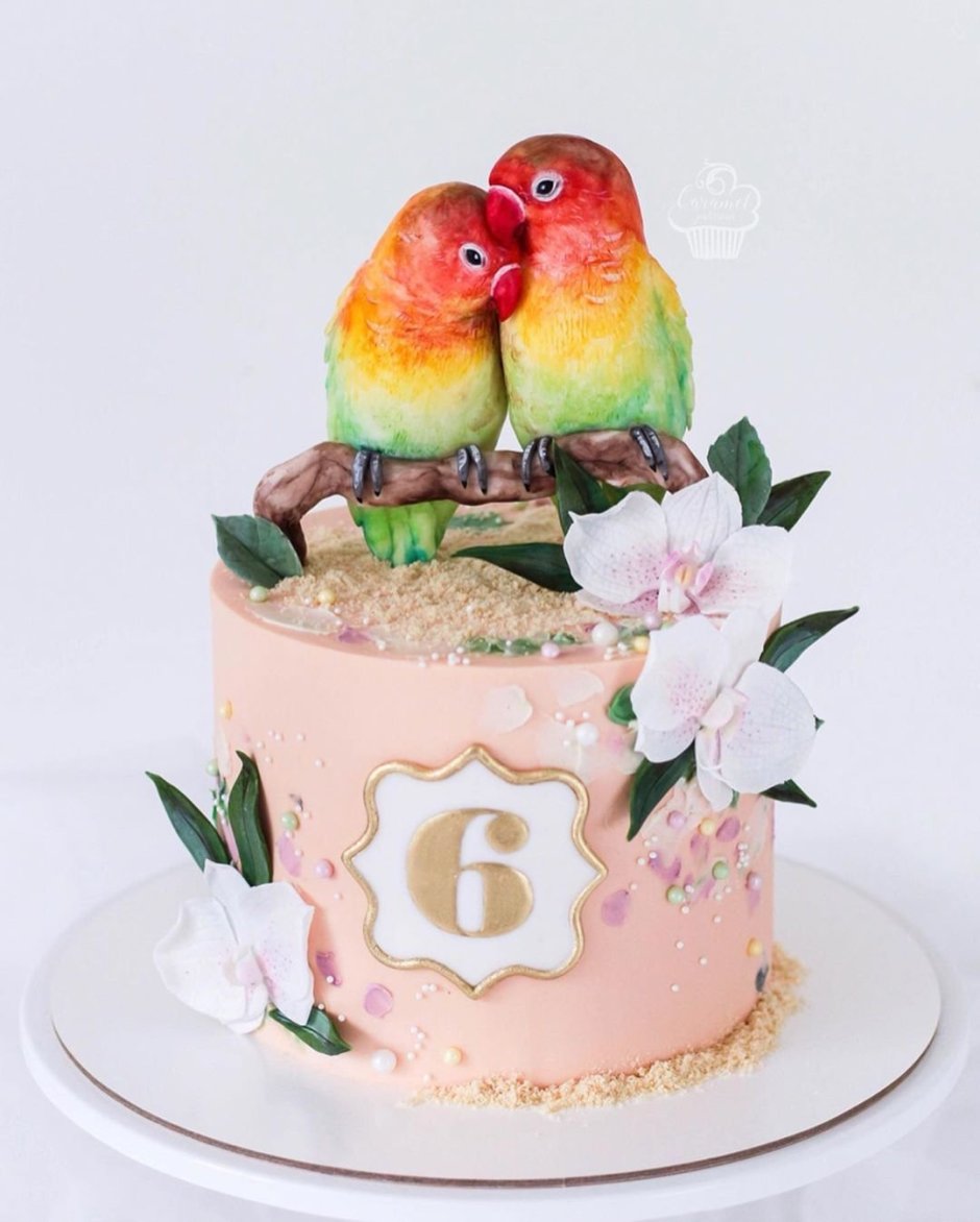 Торты на день рождения с попугаями
