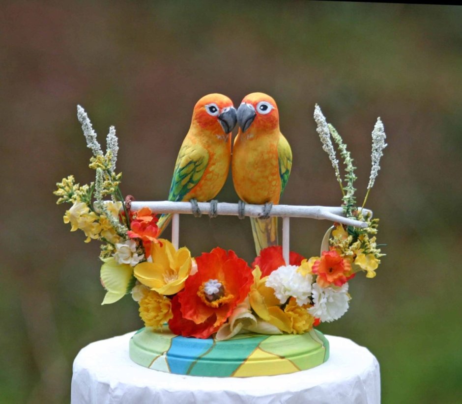 Торт с попугаями неразлучниками