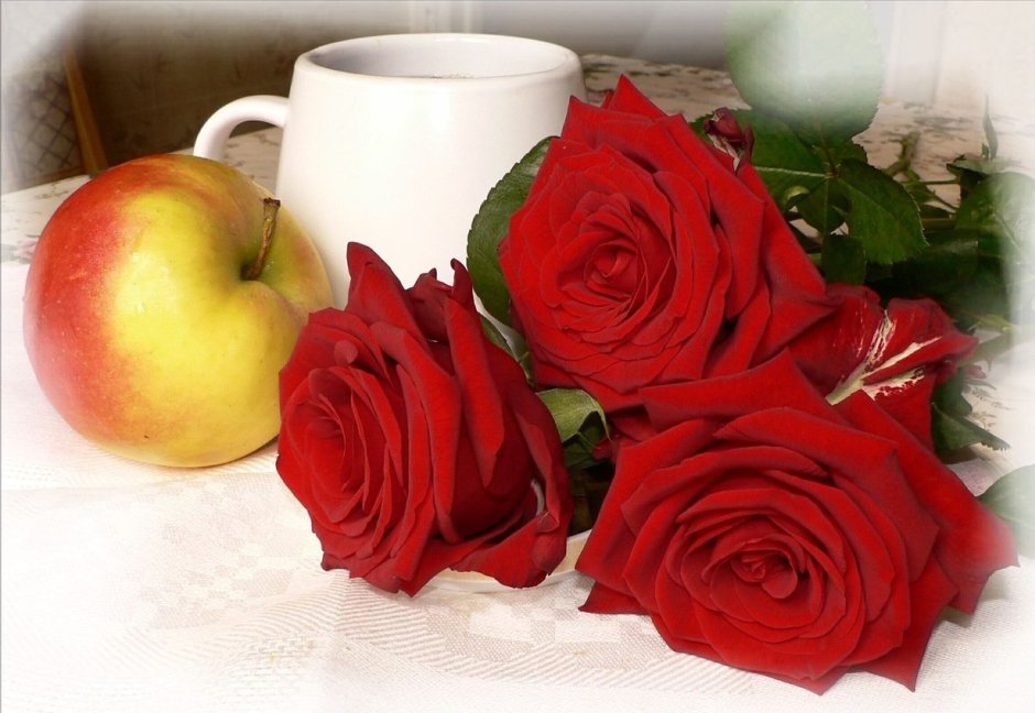 Розы с прекрасным добрым утром