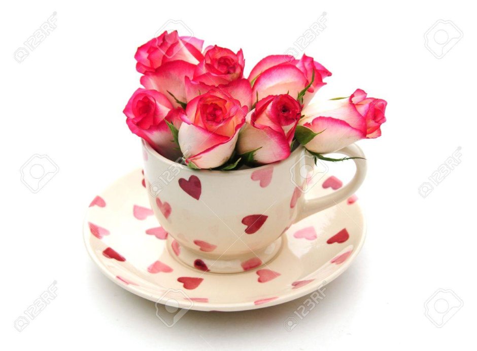 Открытки с розами в чашке