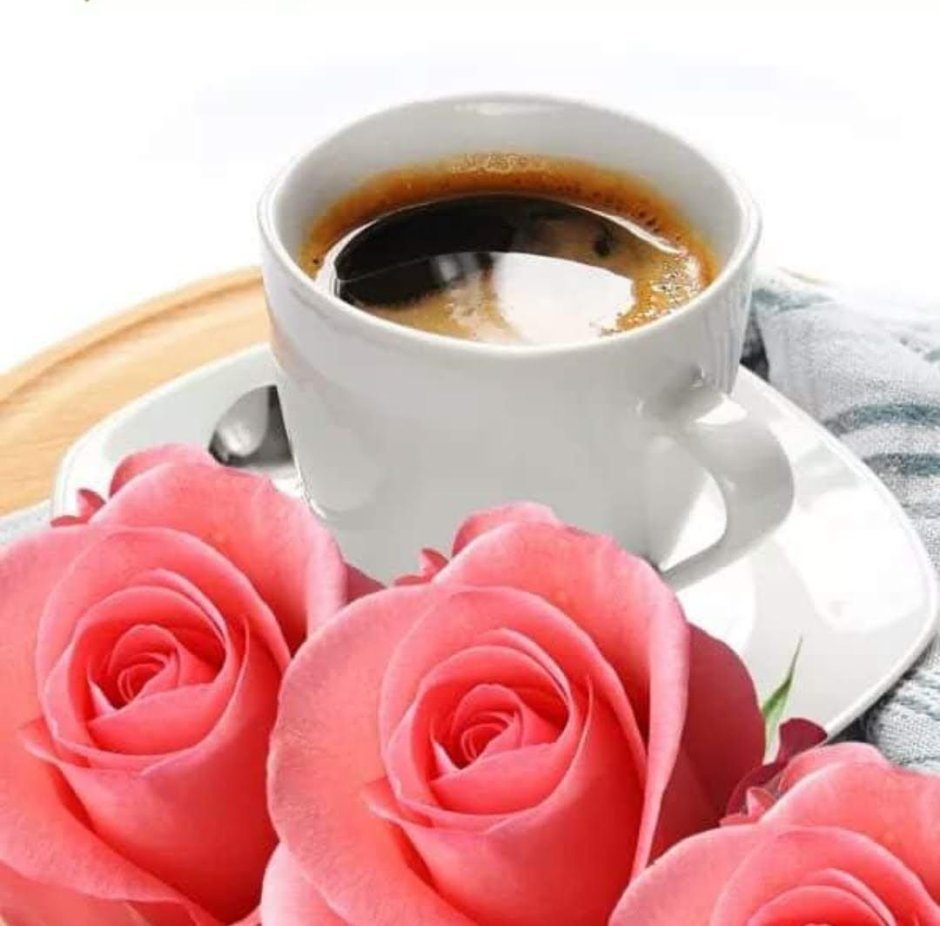 Доброе утро с чайными розами