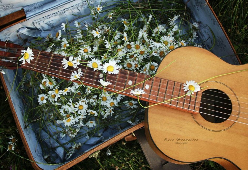 Гитара цветы