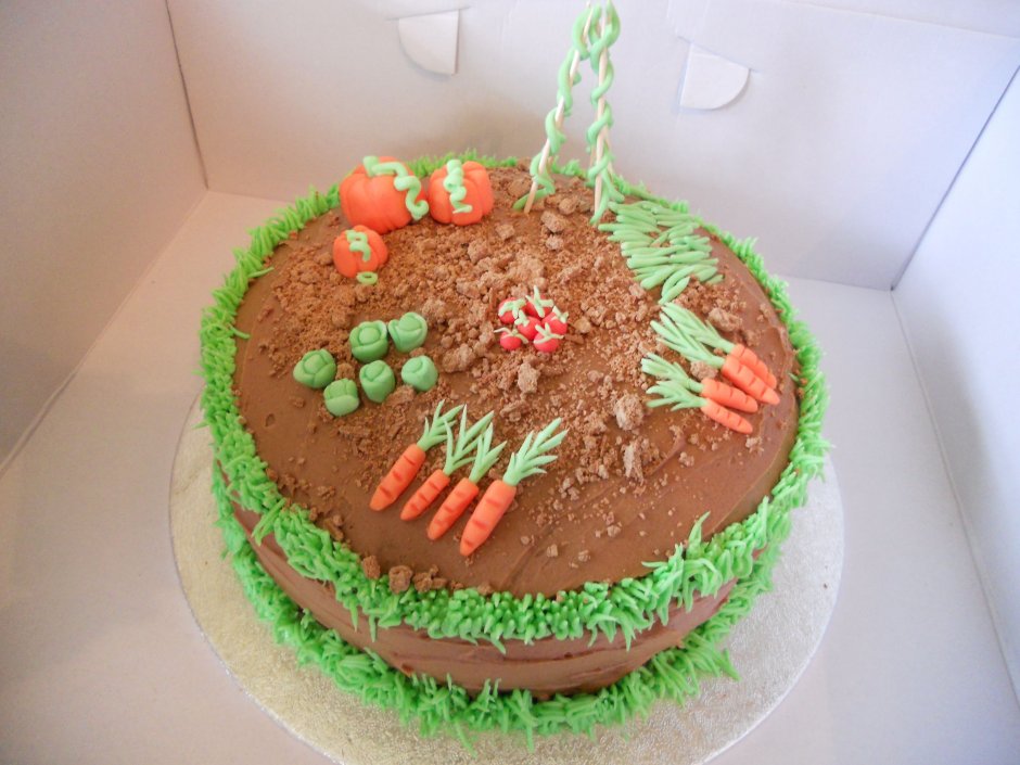 Торт на день рождения в сад не из еды