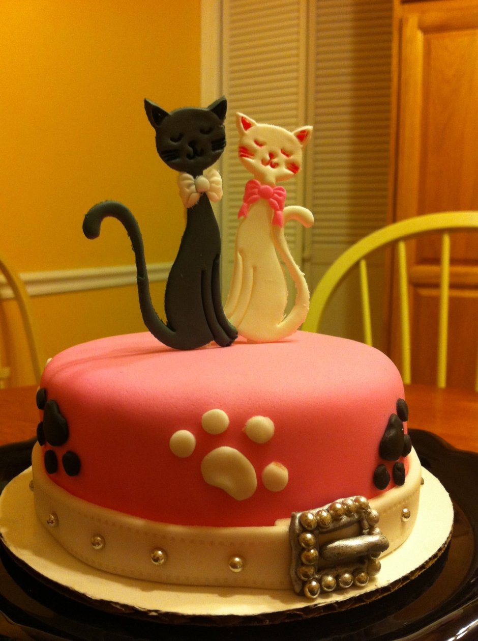 Красивые торты с котиками