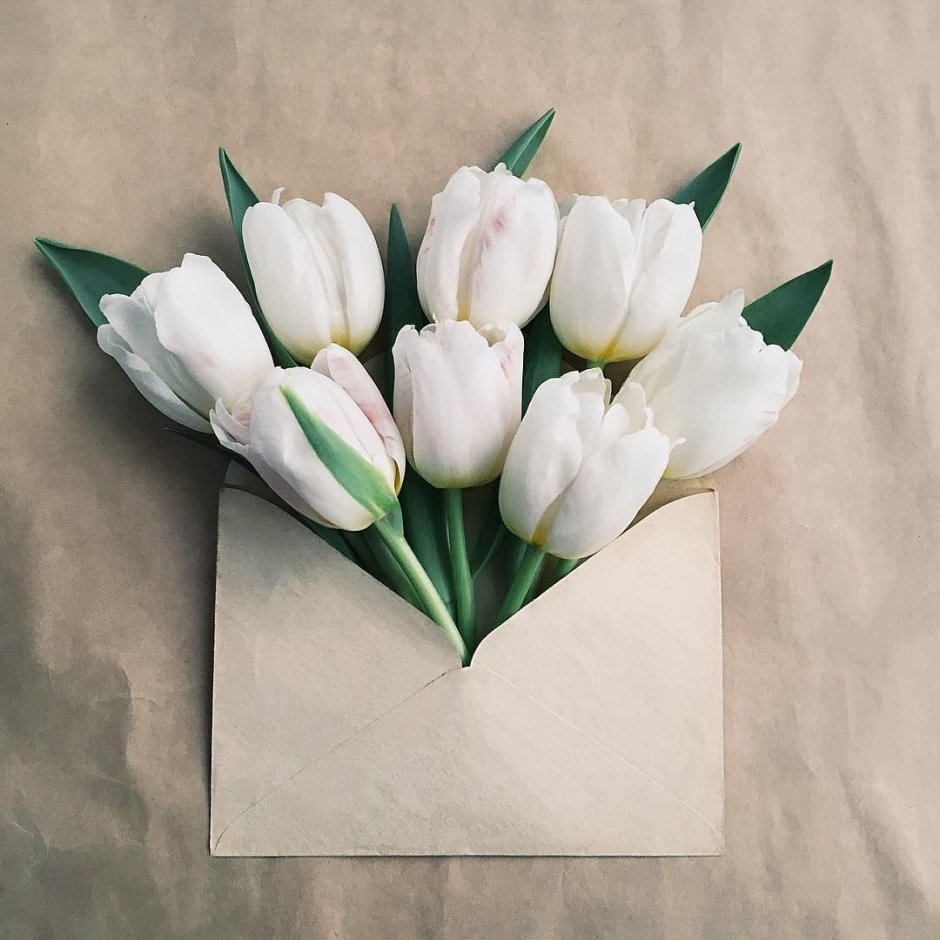 Тюльпаны в конверте