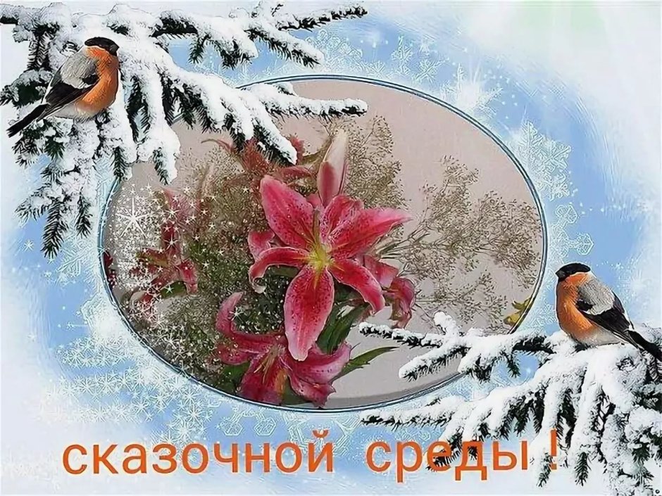 Открытки зимняя среда