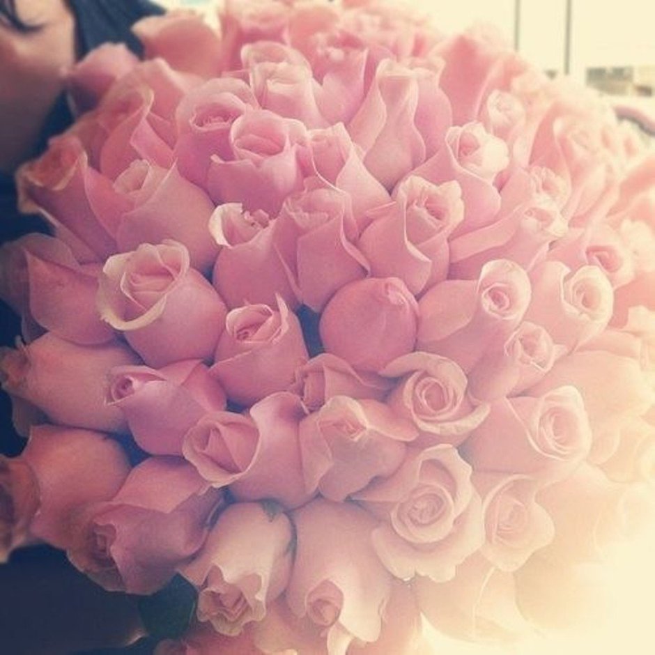 Розовые розы букет селфи