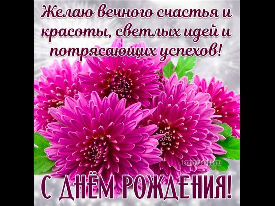 Открытка с днём рождения женщине хризантемы с пожеланиями