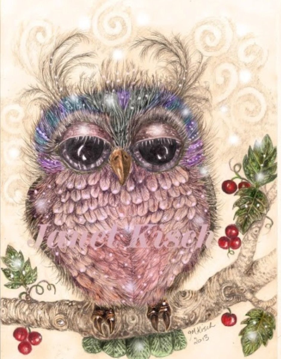 Поздравительные открытки с совами