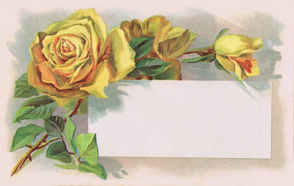 Желтые старинные открытки английские