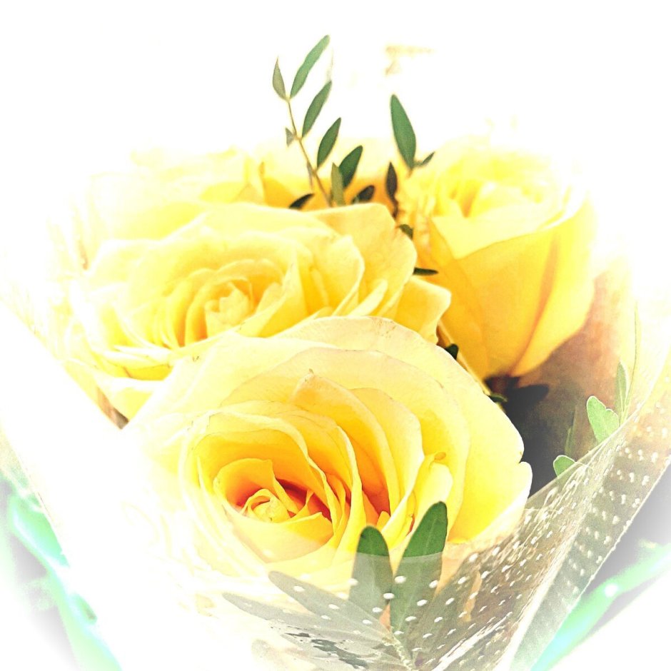 Желтые розы стильные