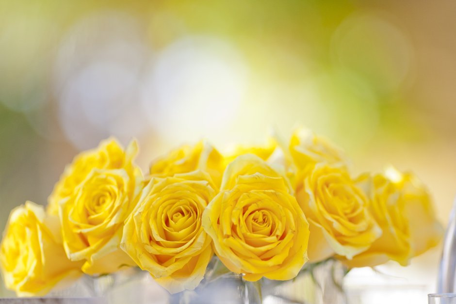 Цветы на желтом фоне