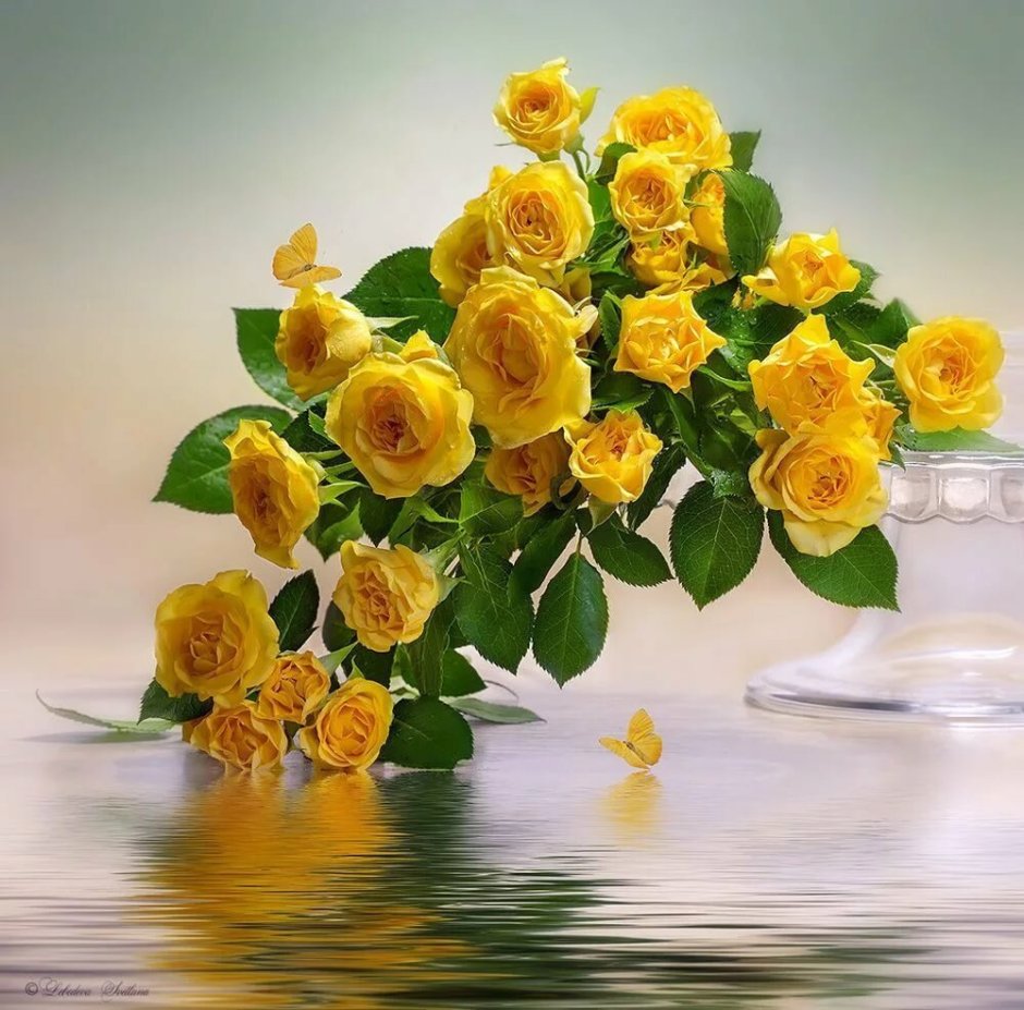 Желтые розы открытки