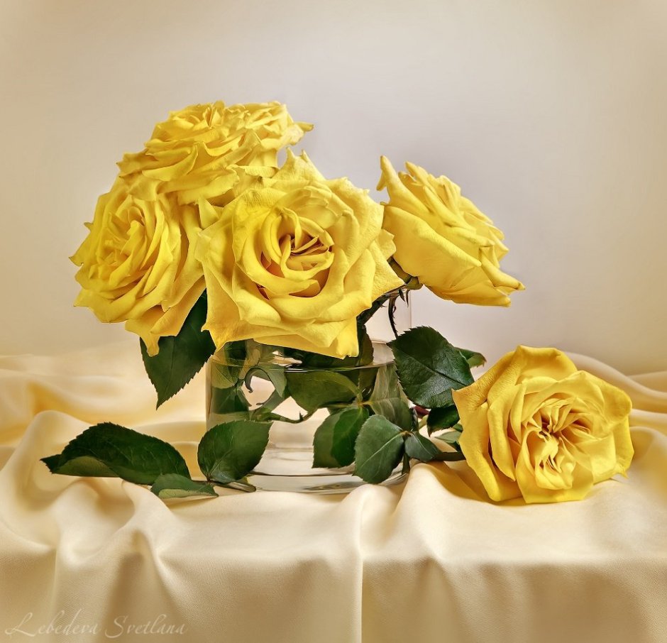 Желтые розы натюрморт