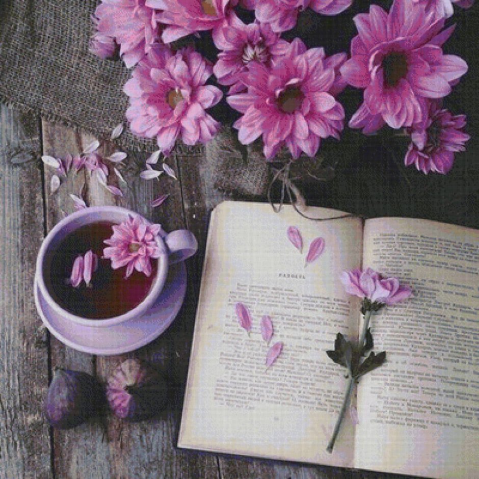 Фиолетовые цветы и книги