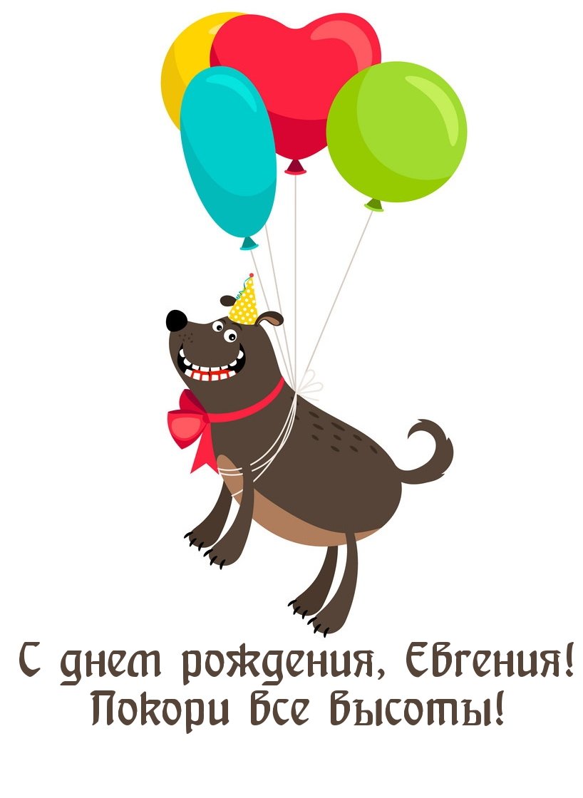 С днем рождения от собаки