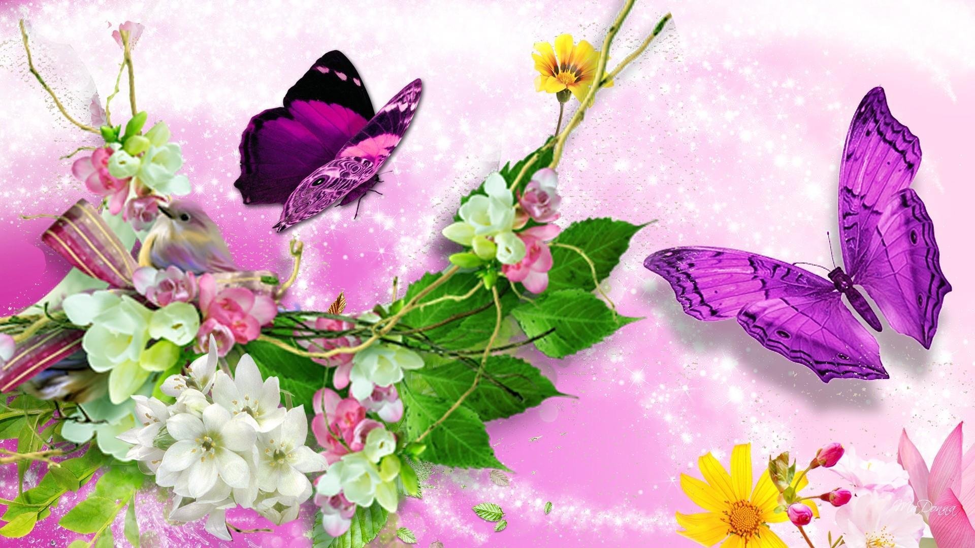 Фон бабочки. Красивые цветы и бабочки. Бабочка на цветке. Красивый фон с бабочками. Красивые открытки бабочками