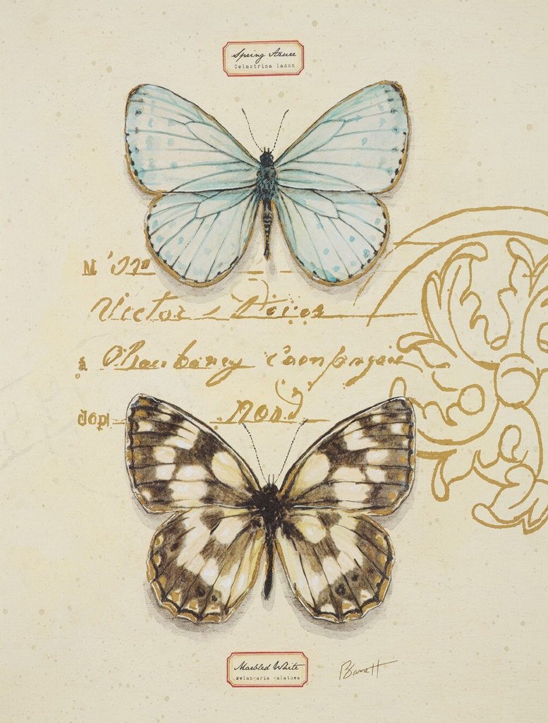 Винтажные открытки с бабочками