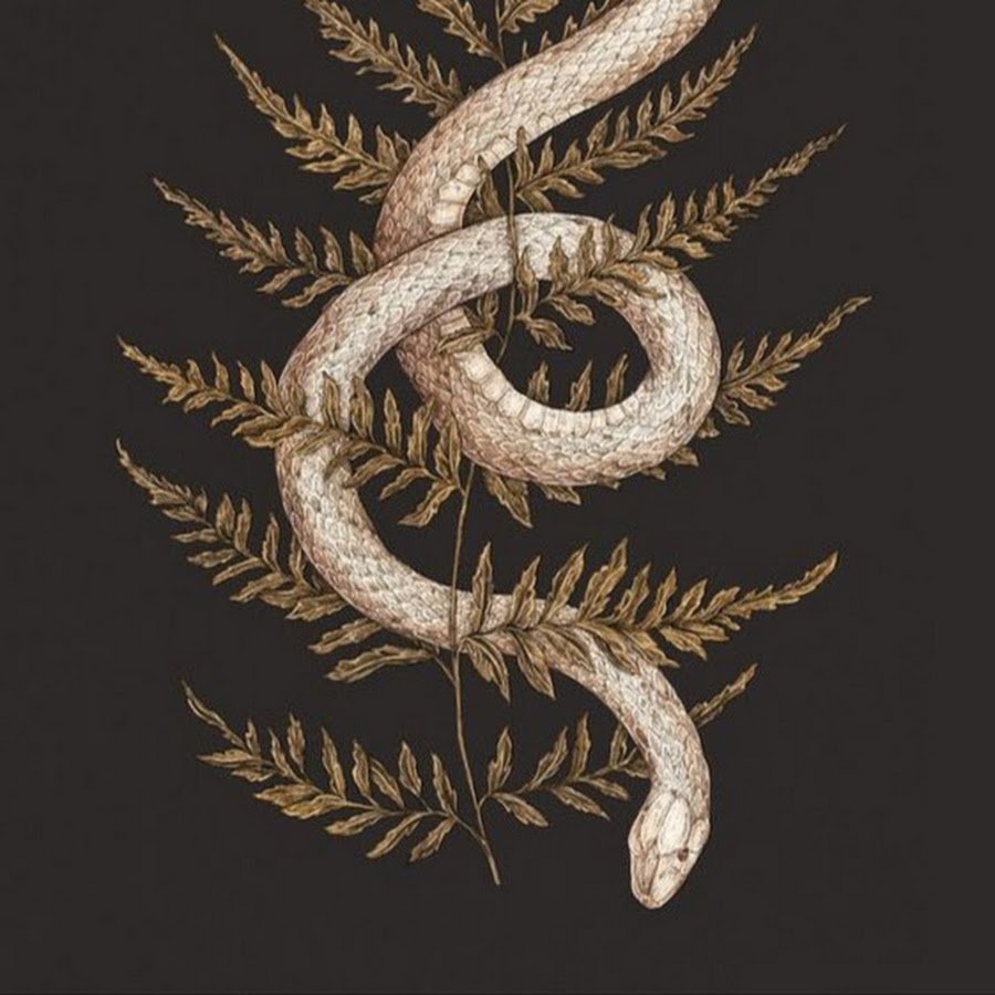 Магия змея Эстетика