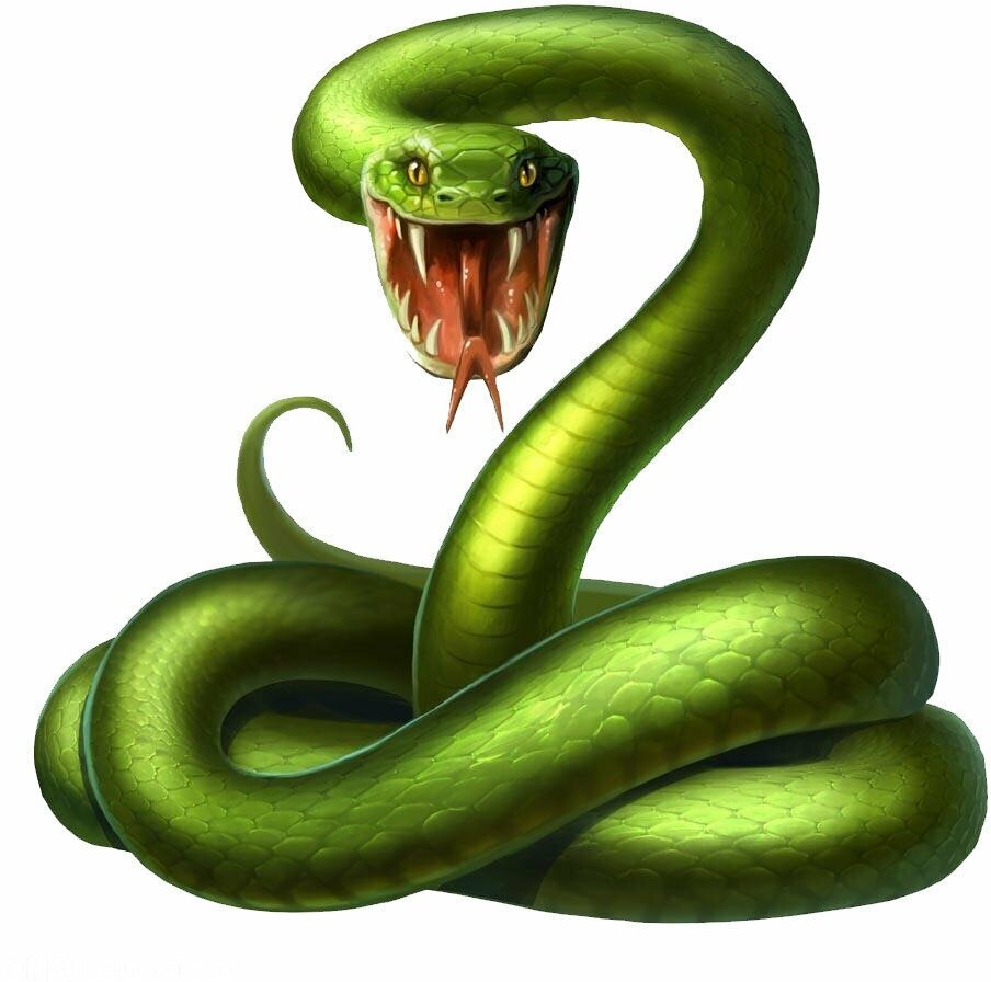 Змея Soloveika