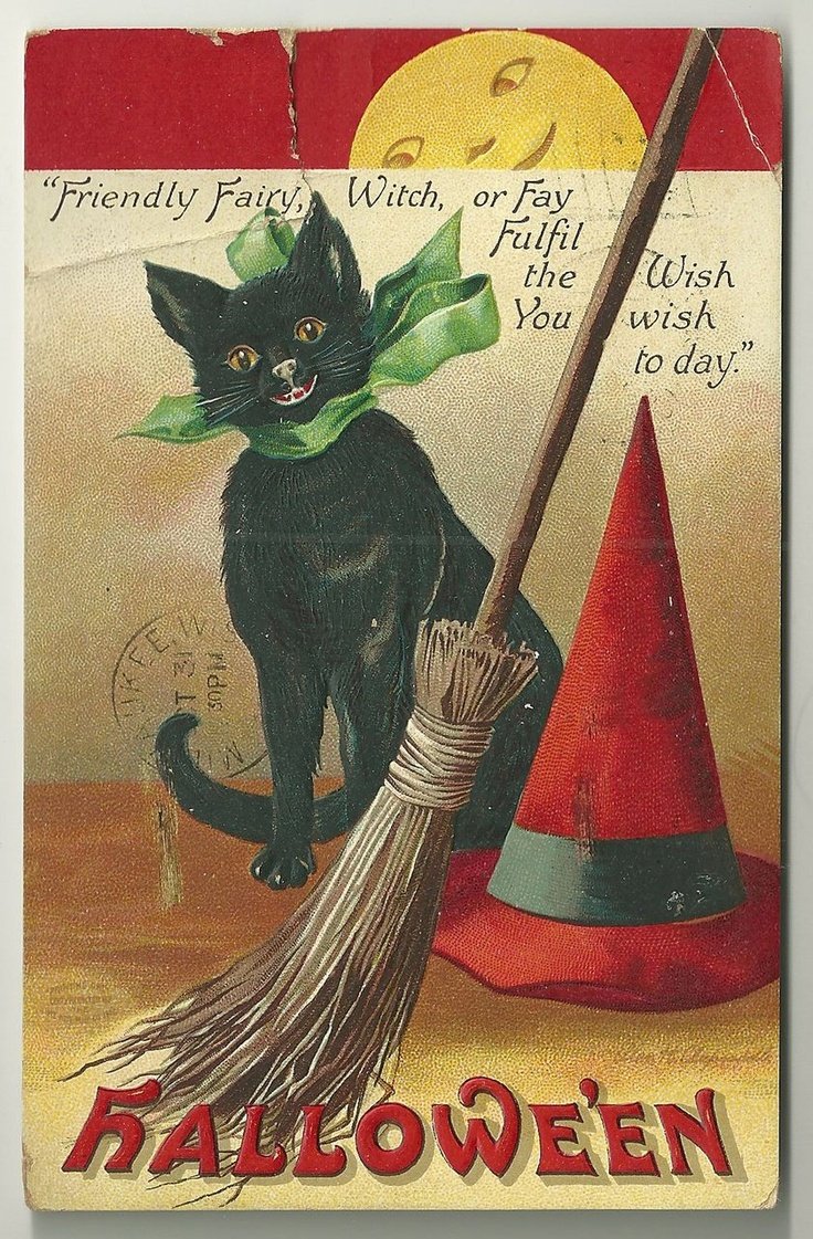 Книга про черного кота и метлу