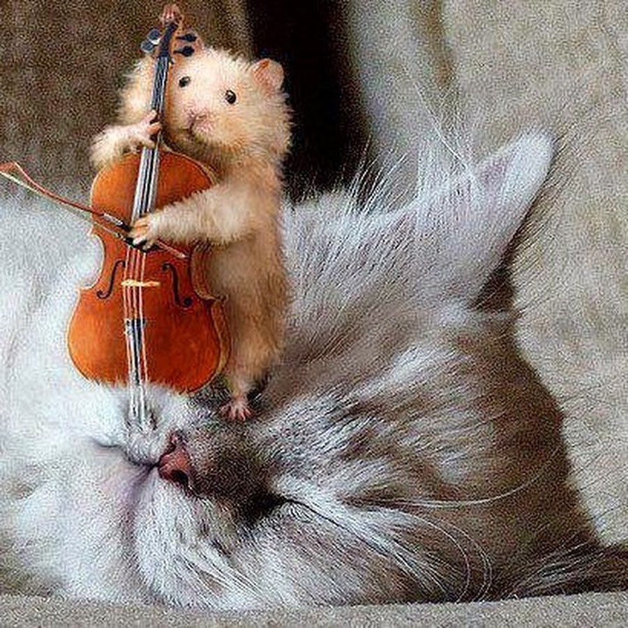 Животные со скрипкой