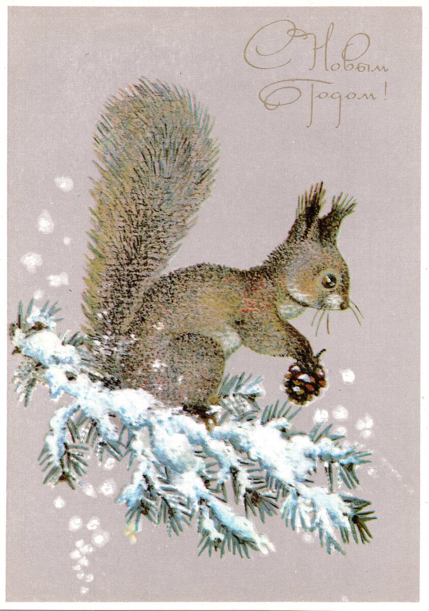 Новогодние открытки с белочкой