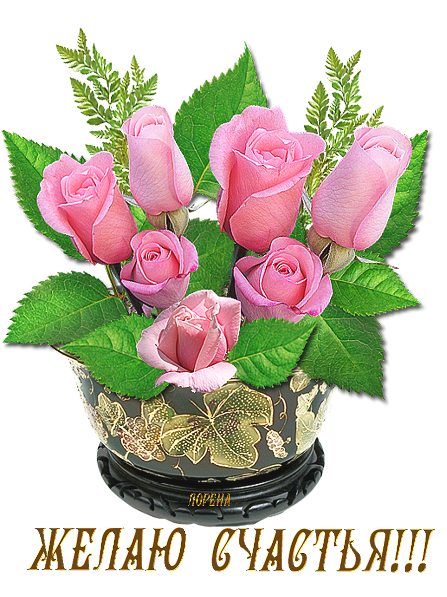 Пожелание здоровья с цветами. Открытки с цветами красивые. Красивый букет. Цветы с пожеланиями. Красивые цветы с пожеланиями.