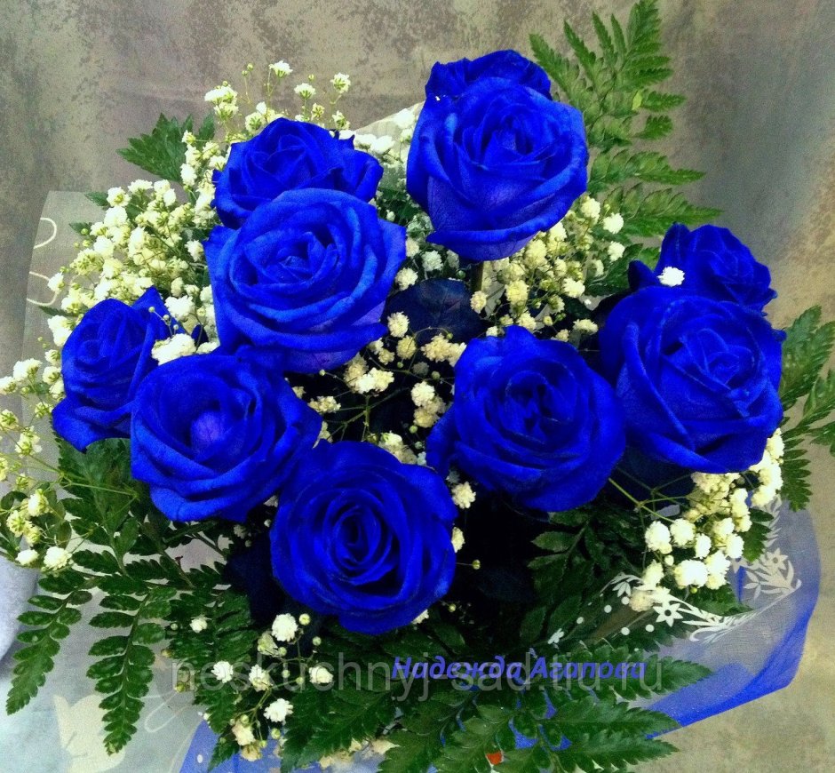 Длинные синие розы