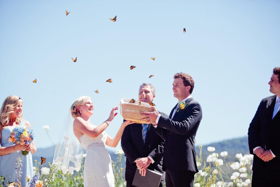 Свадебный салют из бабочек