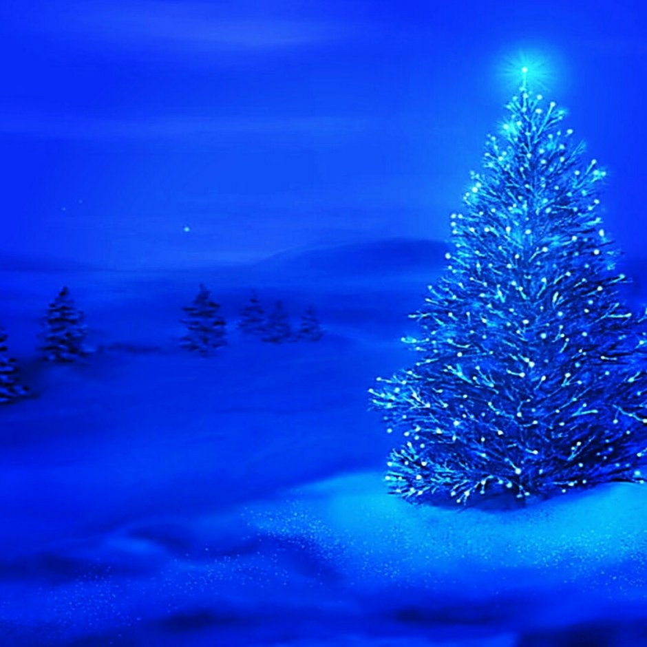 Синяя елка Новогодняя в лесу