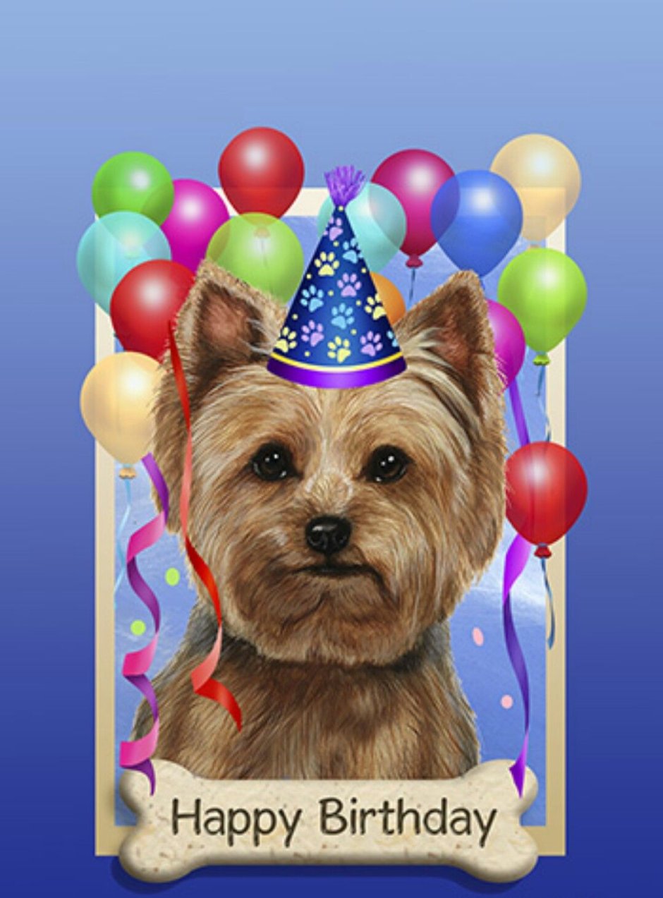Собака поздравляет с днем рождения