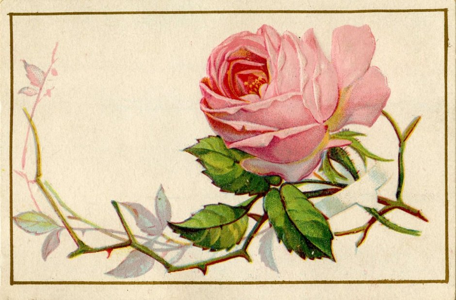 Винтажная открытка с розами