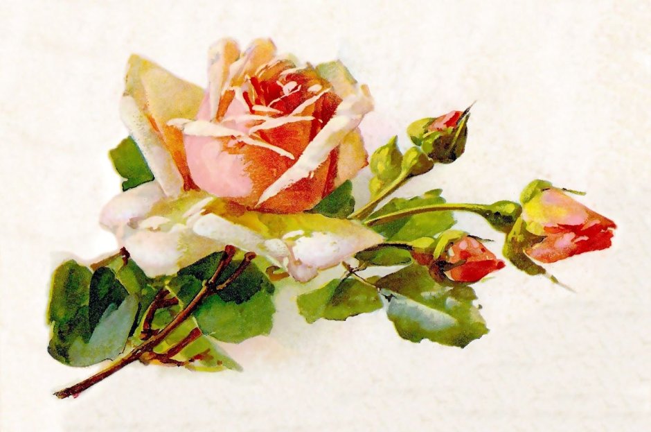 Ретро открытки с розами
