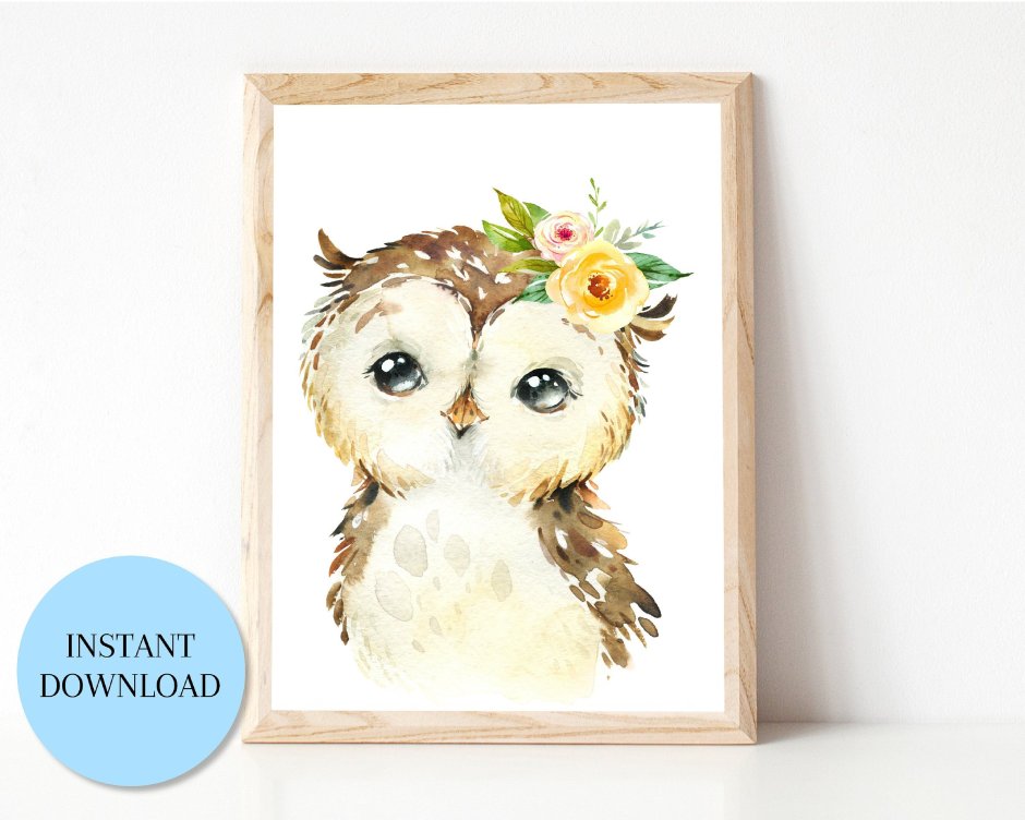 Girls Woodland Owl Baby