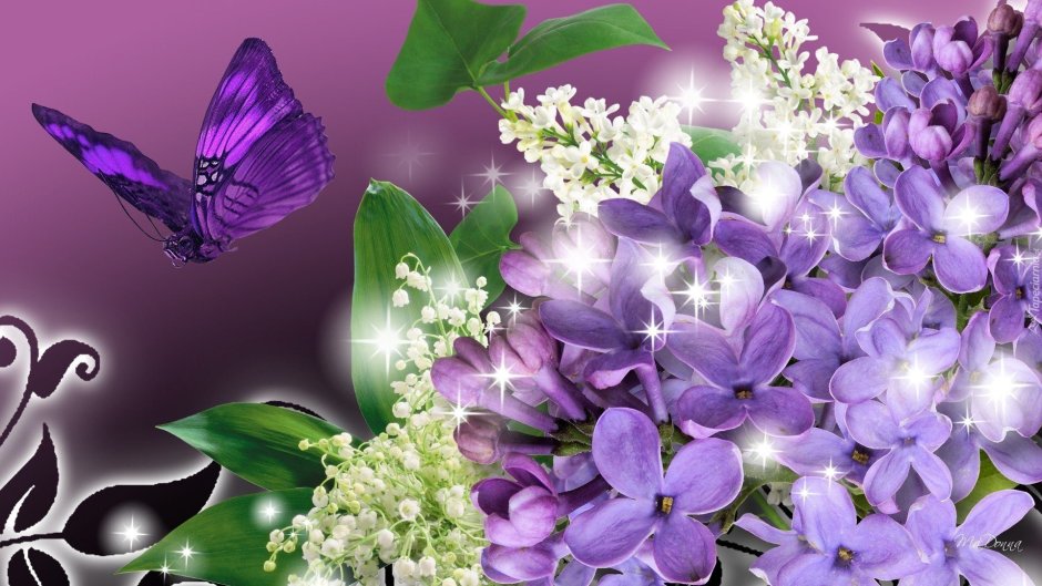 Сирень цветы и бабочки
