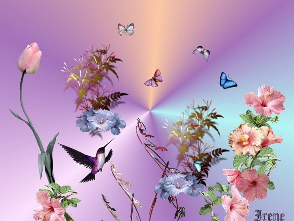 Анимационные открытки с бабочками