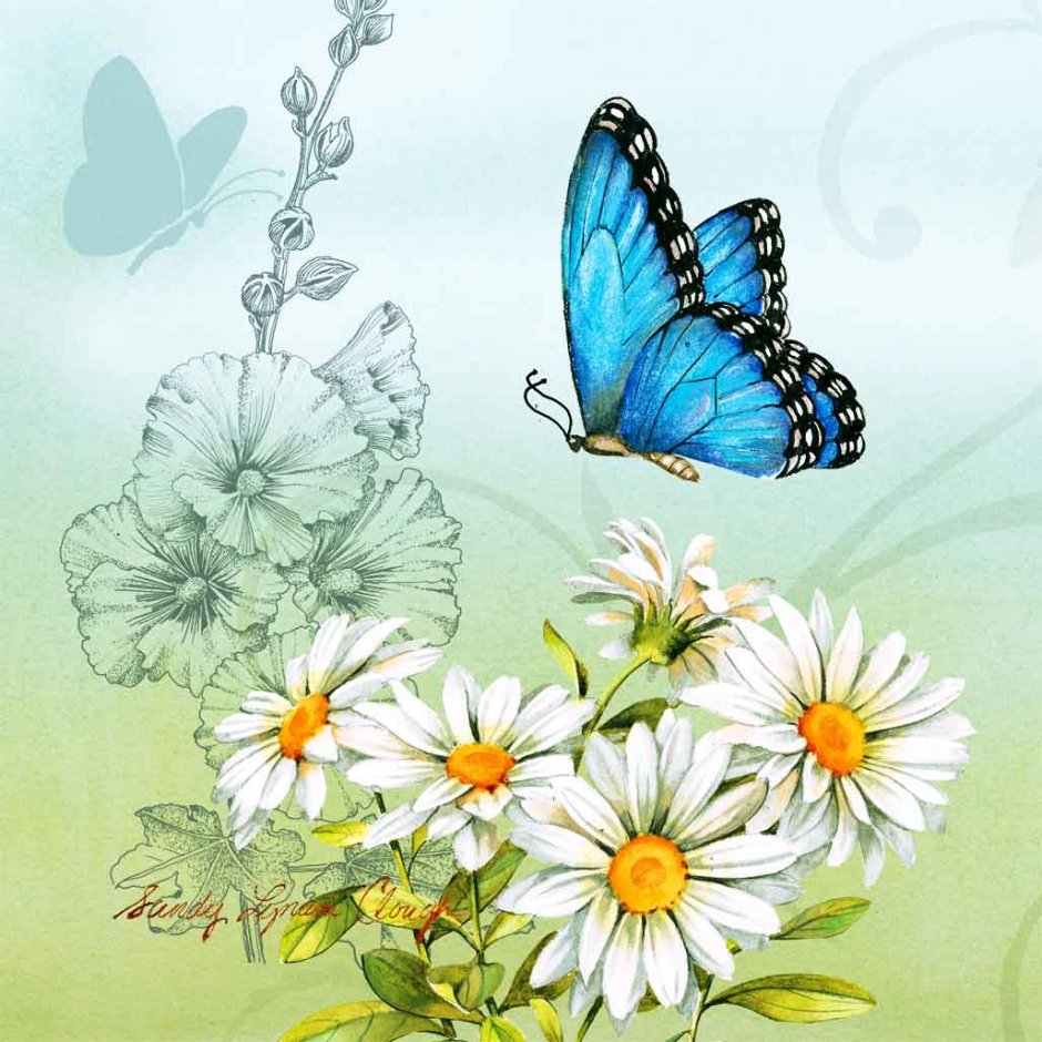 Бабочка над цветком