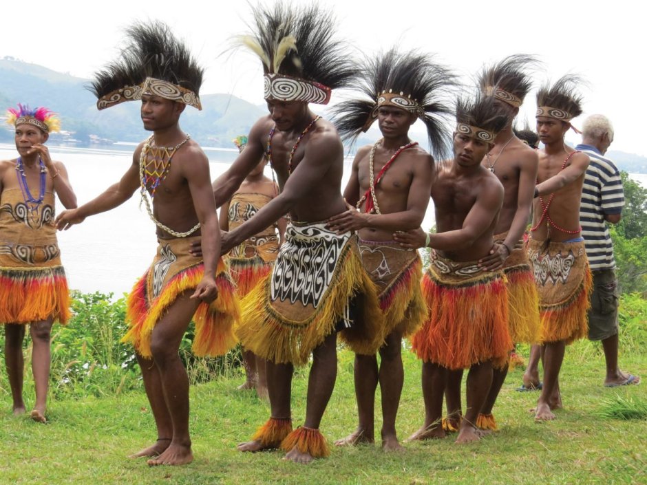 Папуа меланезийцы