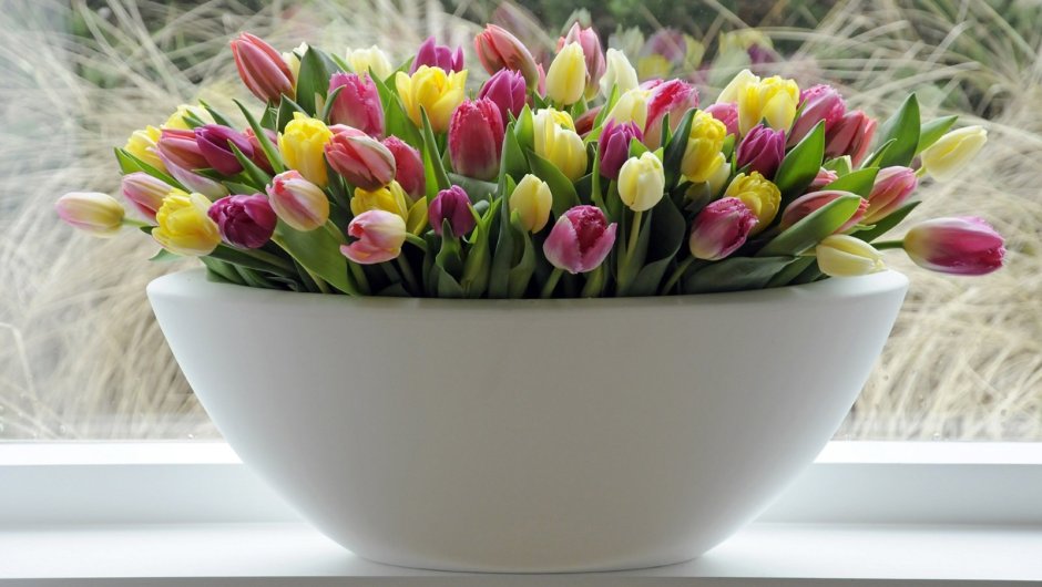 Шикарные тюльпаны с добрыми пожеланиями