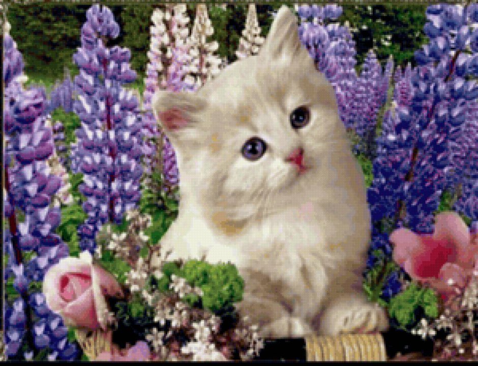 Спасибо котик с цветами