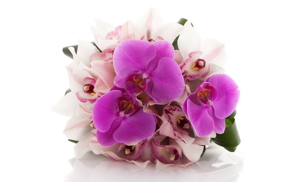Открытки с днем рождения цветы орхидеи