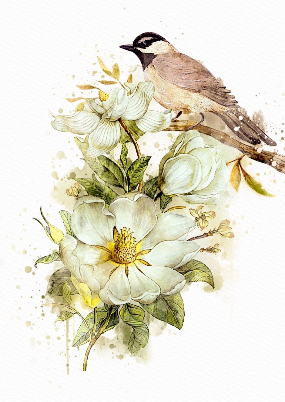 Винтажные открытки с птицами