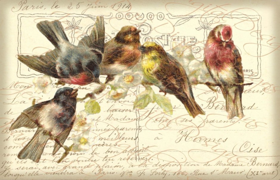 Декупажные карты с птичками