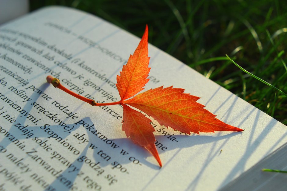 Осень в литературе