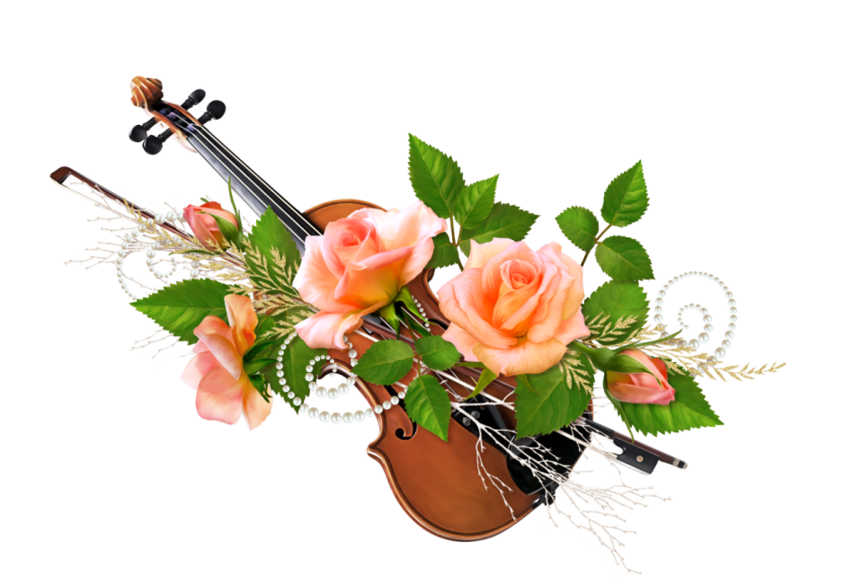 Скрипка с цветами без фона