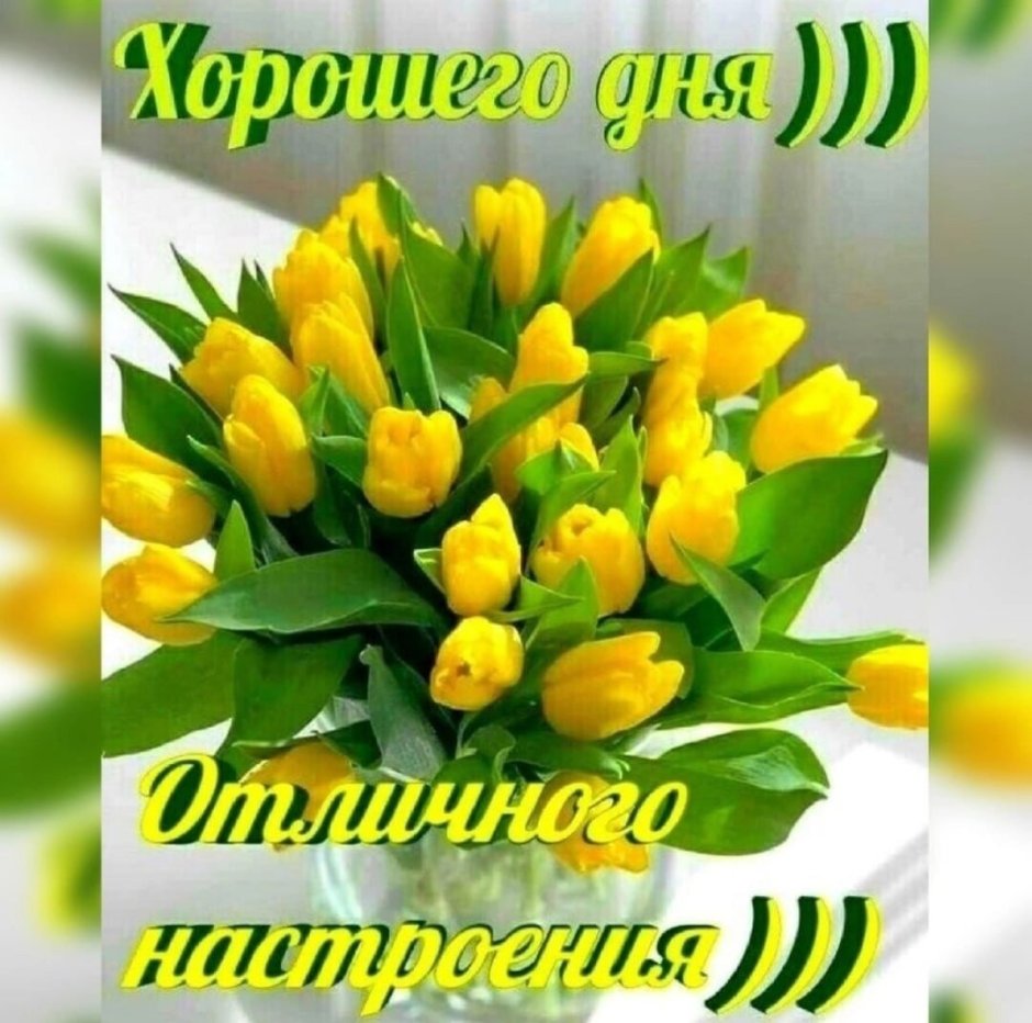 Доброе утро желтые тюльпаны