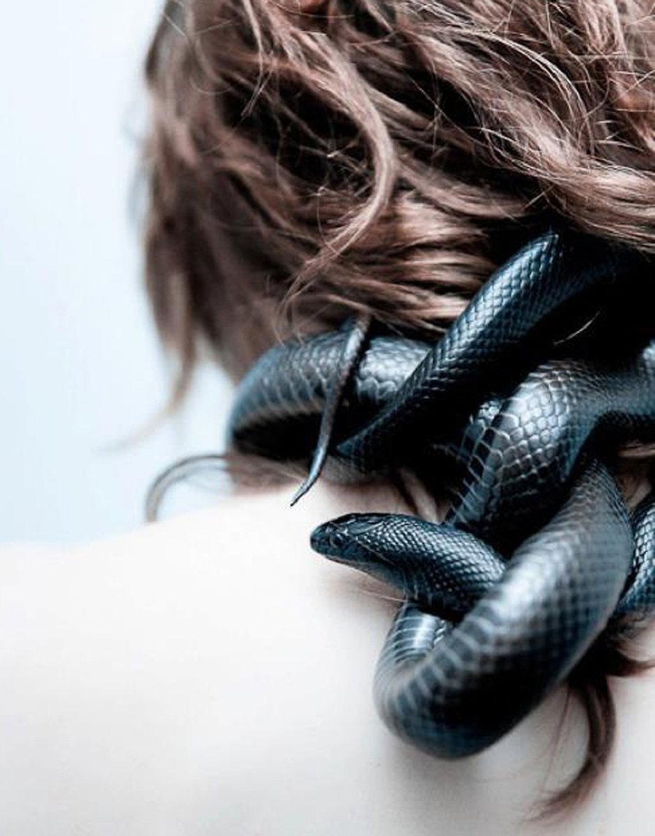 Черная змея Эстетика