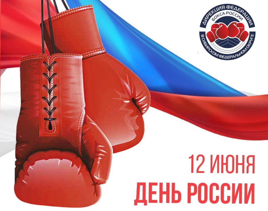 День российского бокса